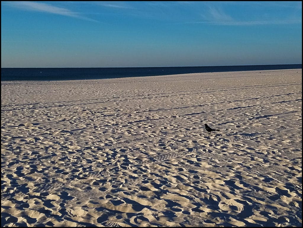 Gulf Shores Beach