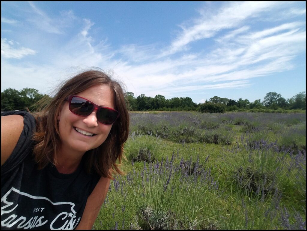 Lavender Farm Lawrence Kansas