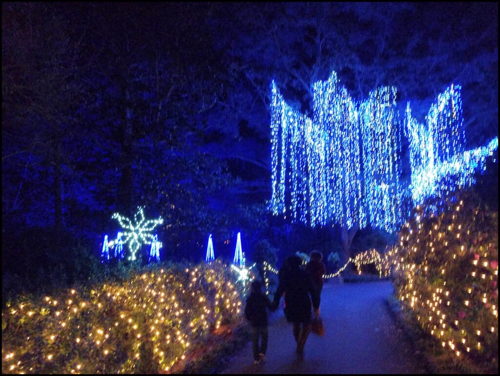 The Best Holiday Light Show In The United States Is At Bellingrath