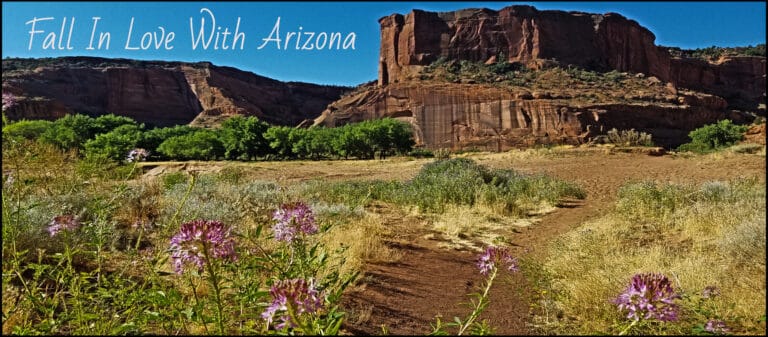 If You Rent An RV, Visit A National Park, Explore Route 66 And Visit Mesa, You Are Sure To Fall In Love With Arizona