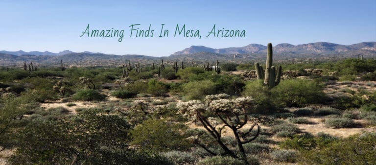 Mesa, Arizona- There’s A Whole Lot Going On
