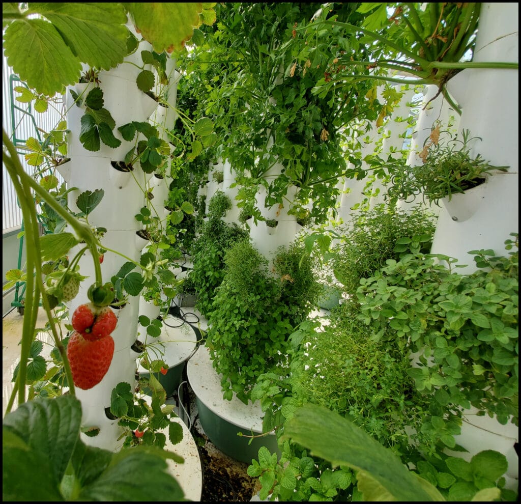 Vertical Garden Mesa