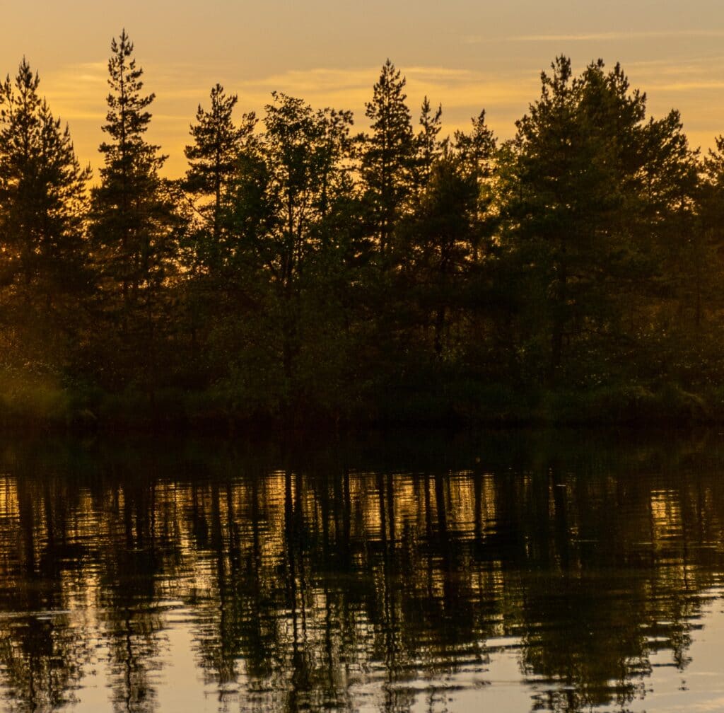 Lake Kabetogama best fishing lakes in the midwest