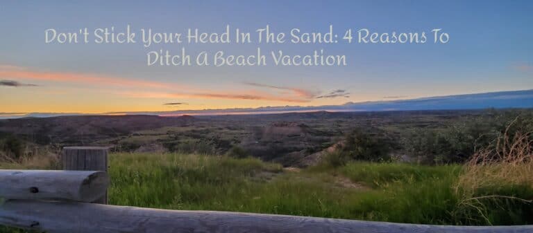 Don’t Stick Your Head In The Sand: 4 Reasons To Ditch A Beach Vacation
