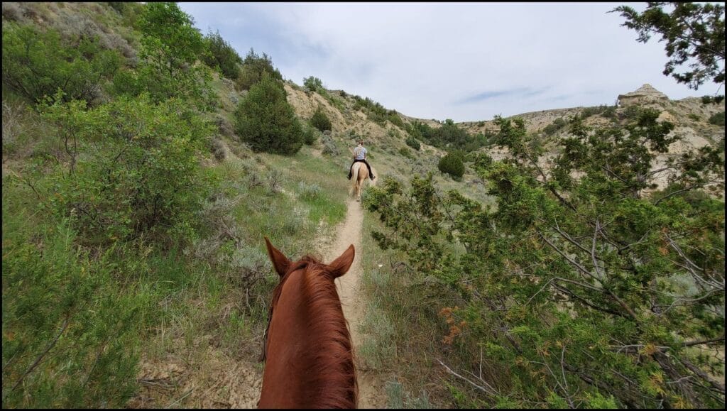 Trail Ride Medora