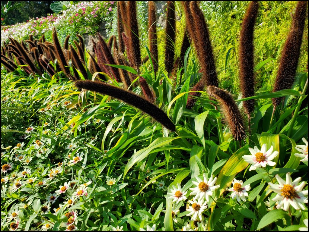 Sunken Gardens Lincoln