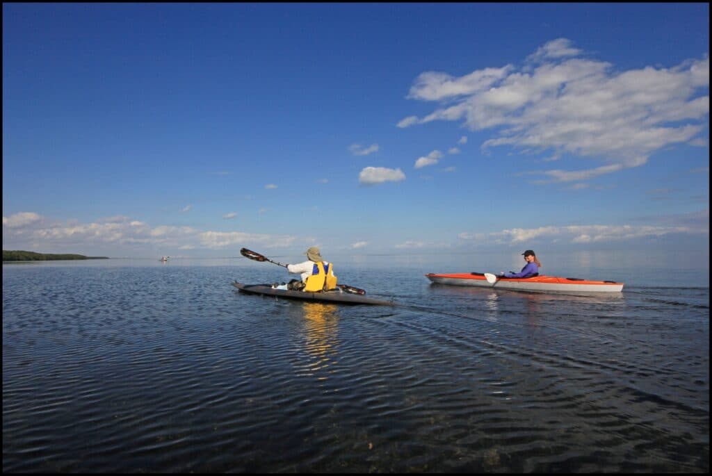 kayakers