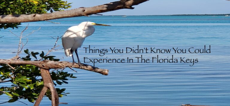Things You Didn’t Know You Could Experience In The Florida Keys