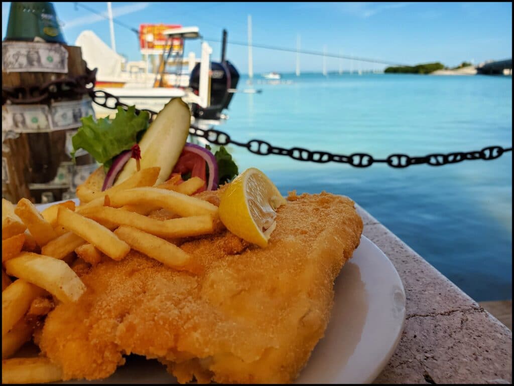 Robbies Islamorada Next to best place to stay in Florida Keys