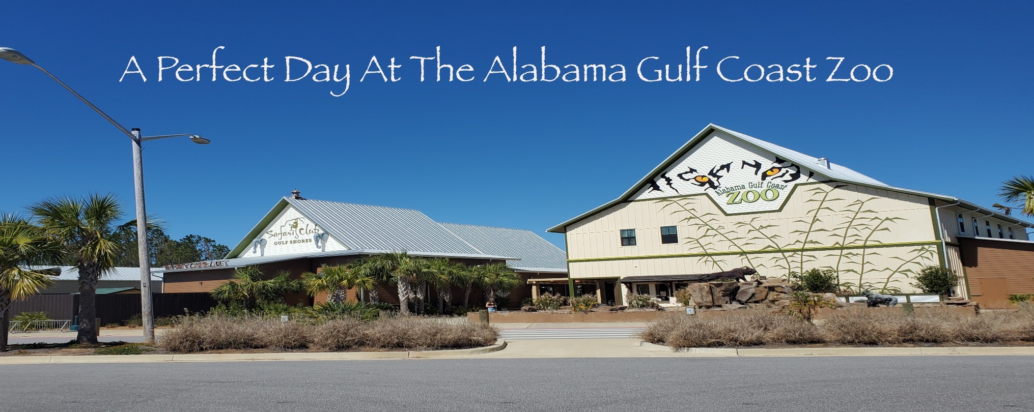 A Perfect Day At The Alabama Gulf Coast Zoo Includes Holding A Baby ...