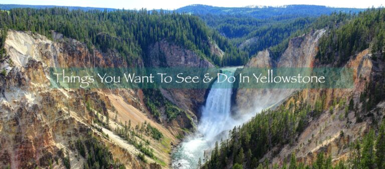 Things You Want To See And Do In Yellowstone