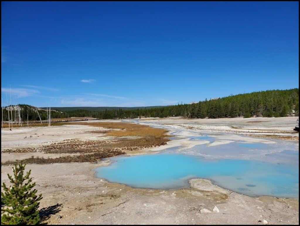 geyser basin