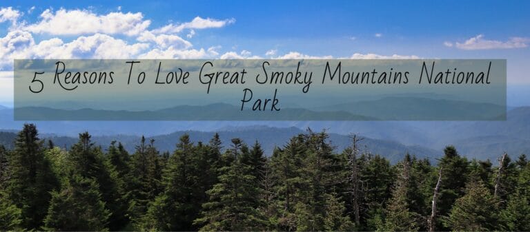 5 Reasons To Love Great Smoky Mountains National Park