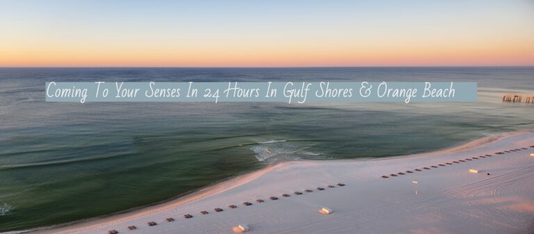 Coming To Your Senses In 24 Hours in Gulf Shores & Orange Beach