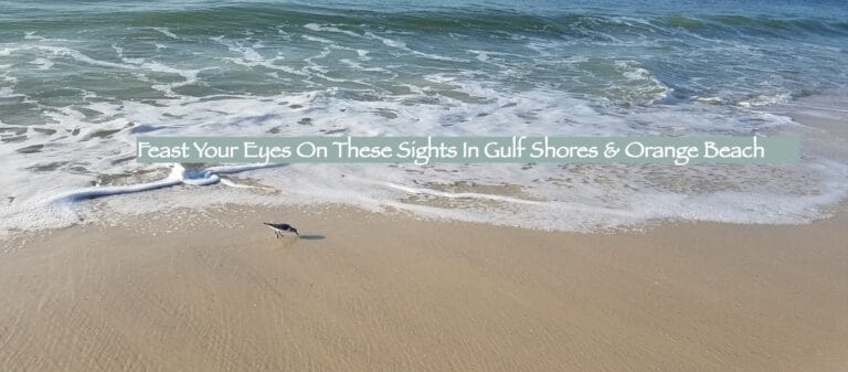 Feast Your Eyes On These Sights In Gulf Shores & Orange Beach