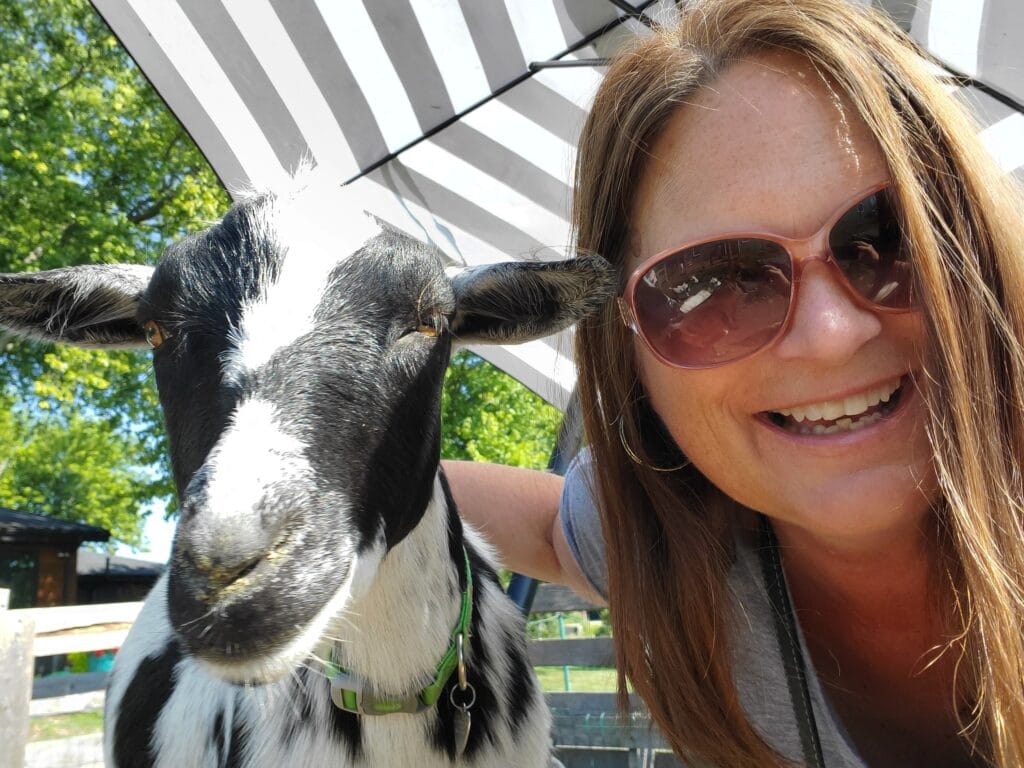 Goat Yoga chicago