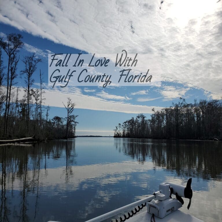 Fall In Love With Gulf County Florida