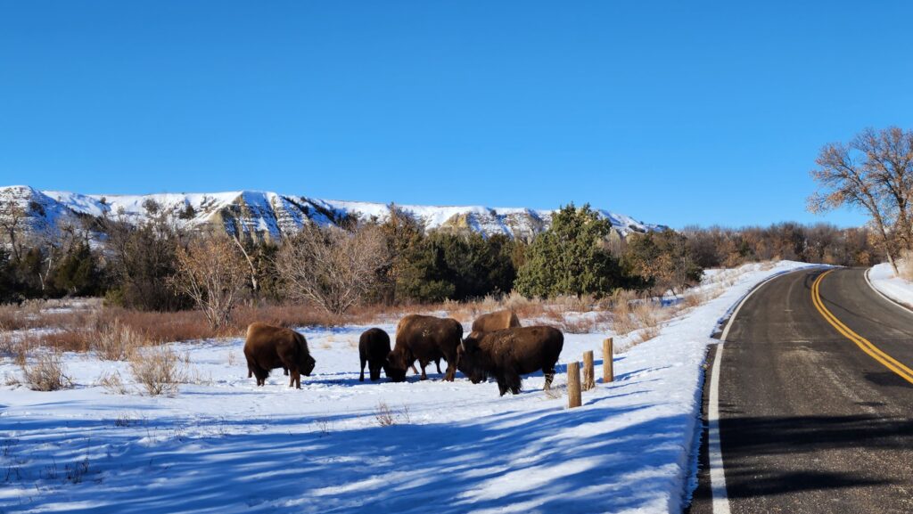 theodore roosevelt national park winter