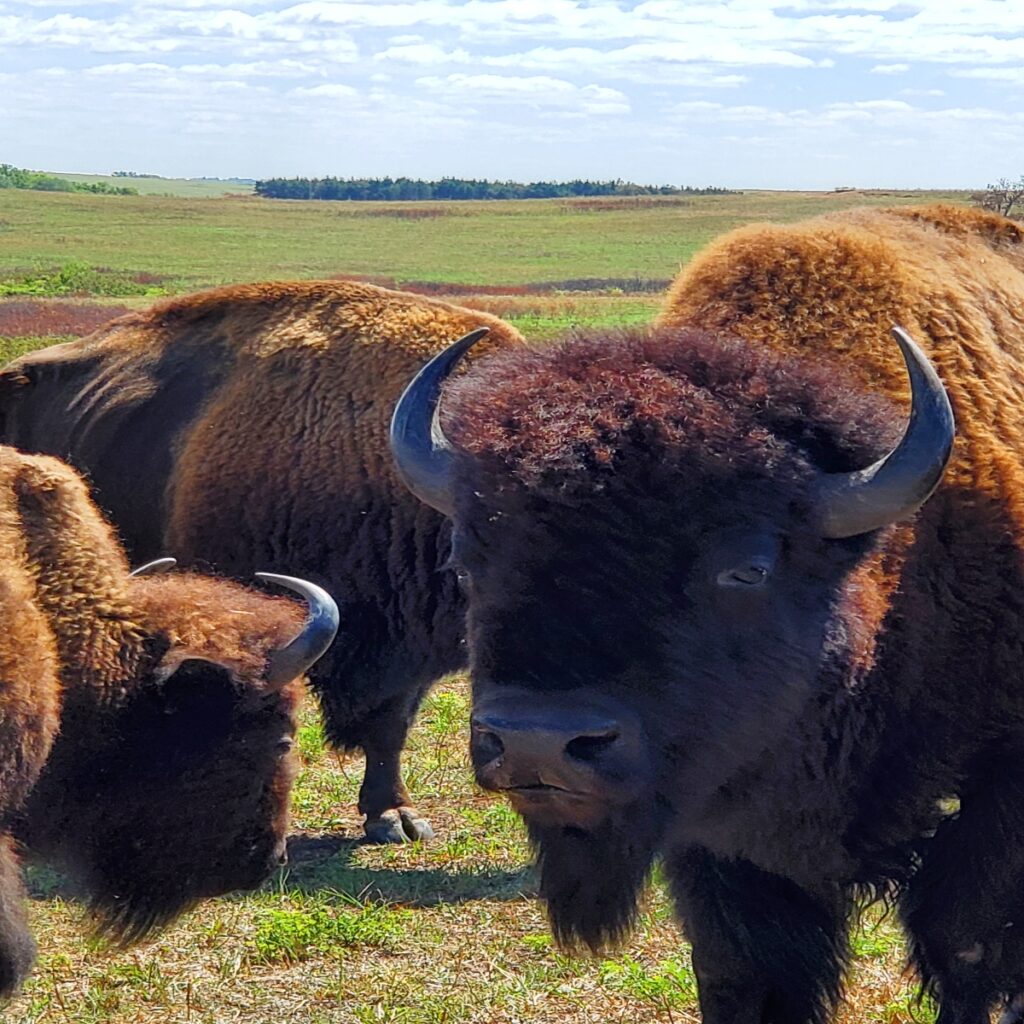 McPherson, Kansas