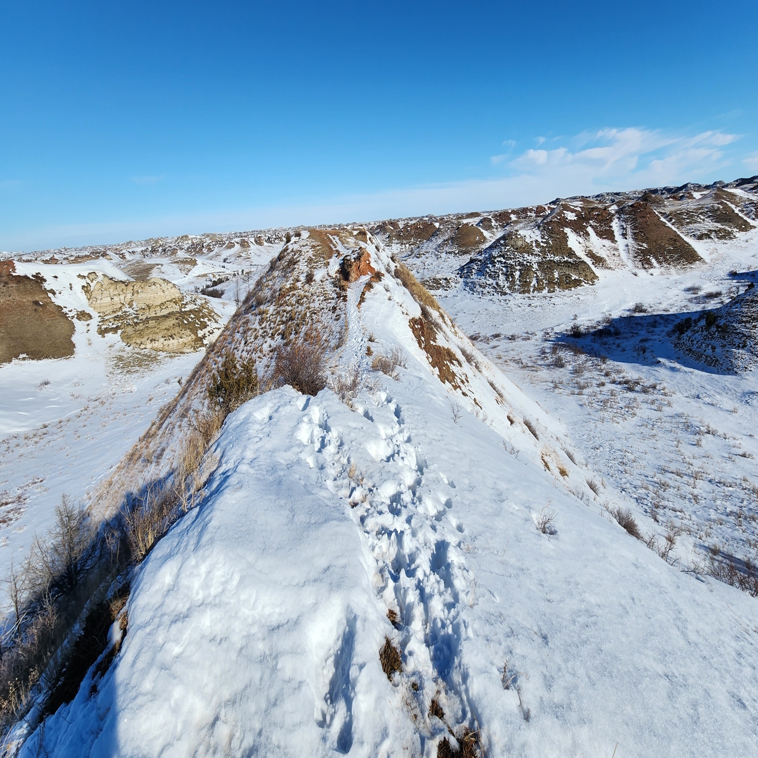 Theodore Roosevelt National Park Is Spectacular In The Winter