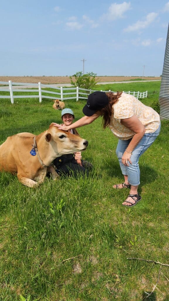 Radiance Dairy cow Fairfield Iowa