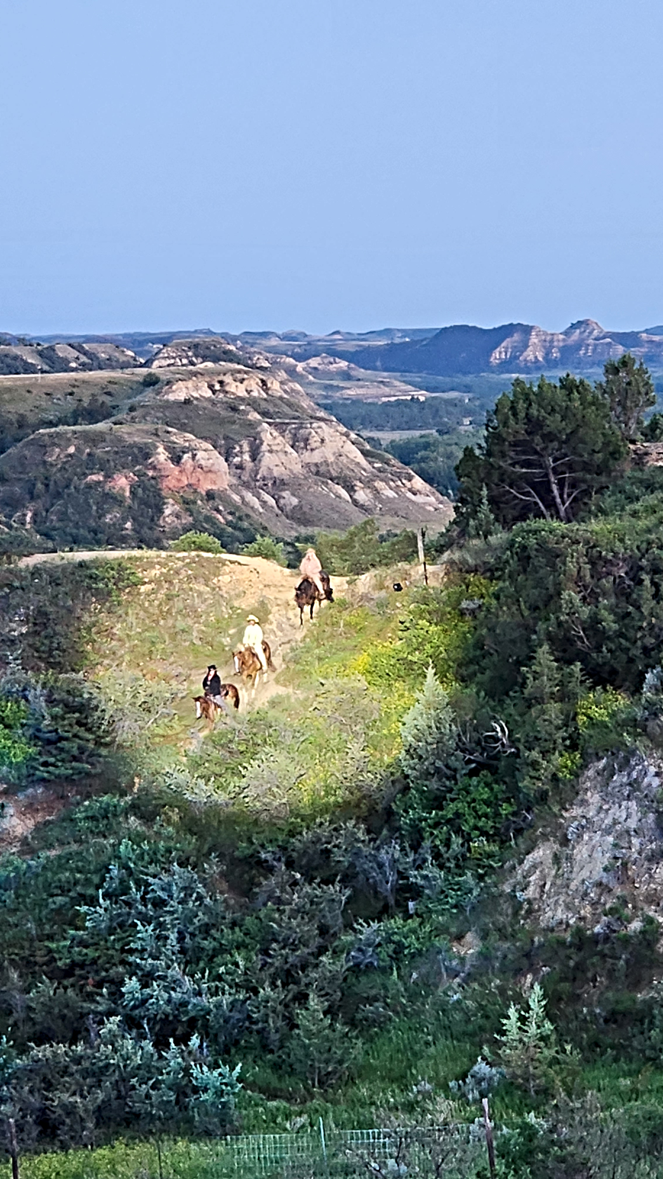 Horses Badlands Medora Musical