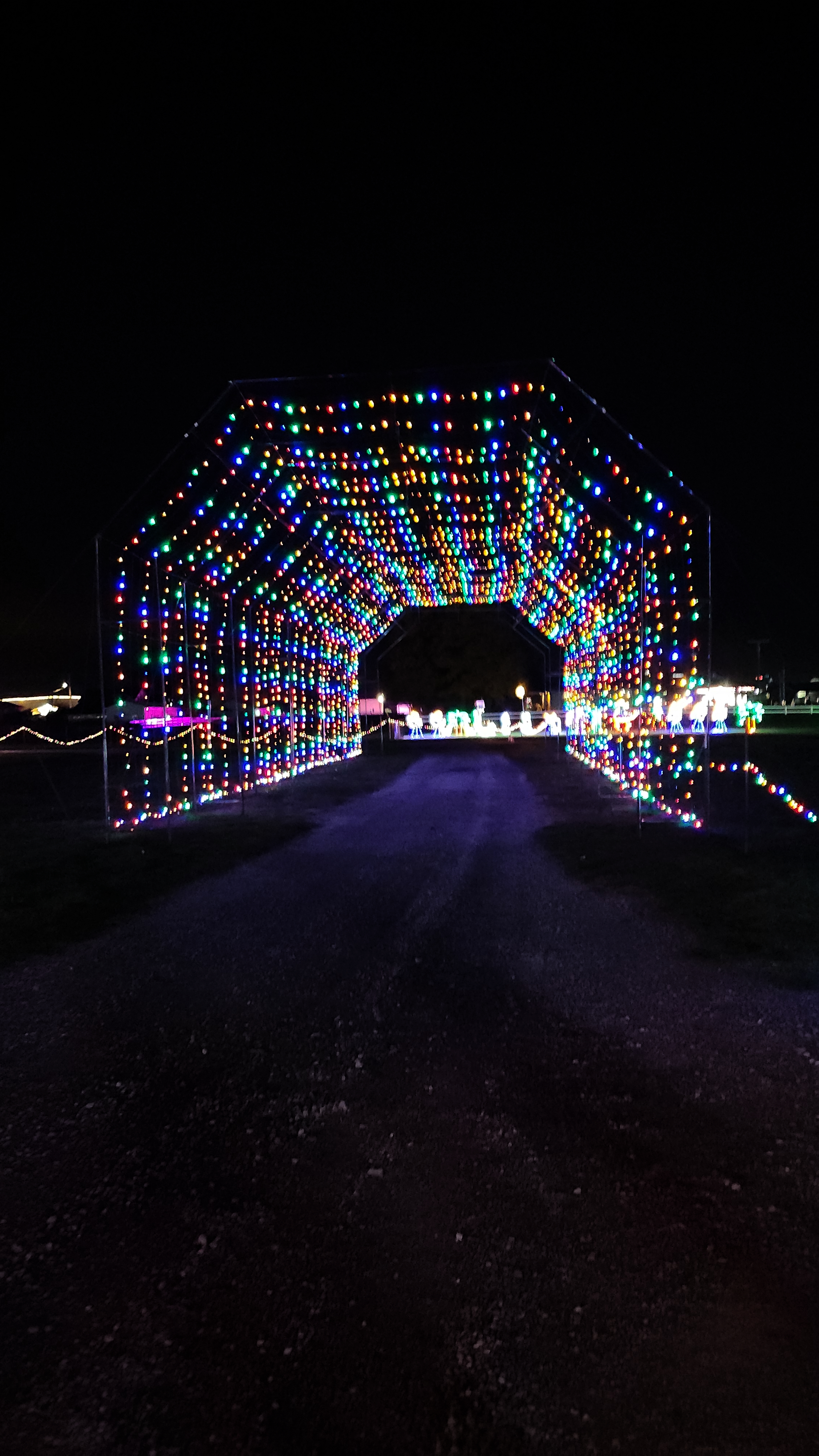 Christmas Light Tunnel