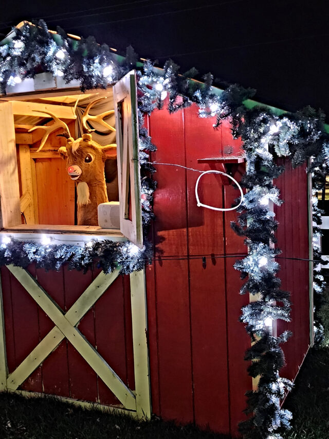A Magical Christmas In Shipshewana, Indiana