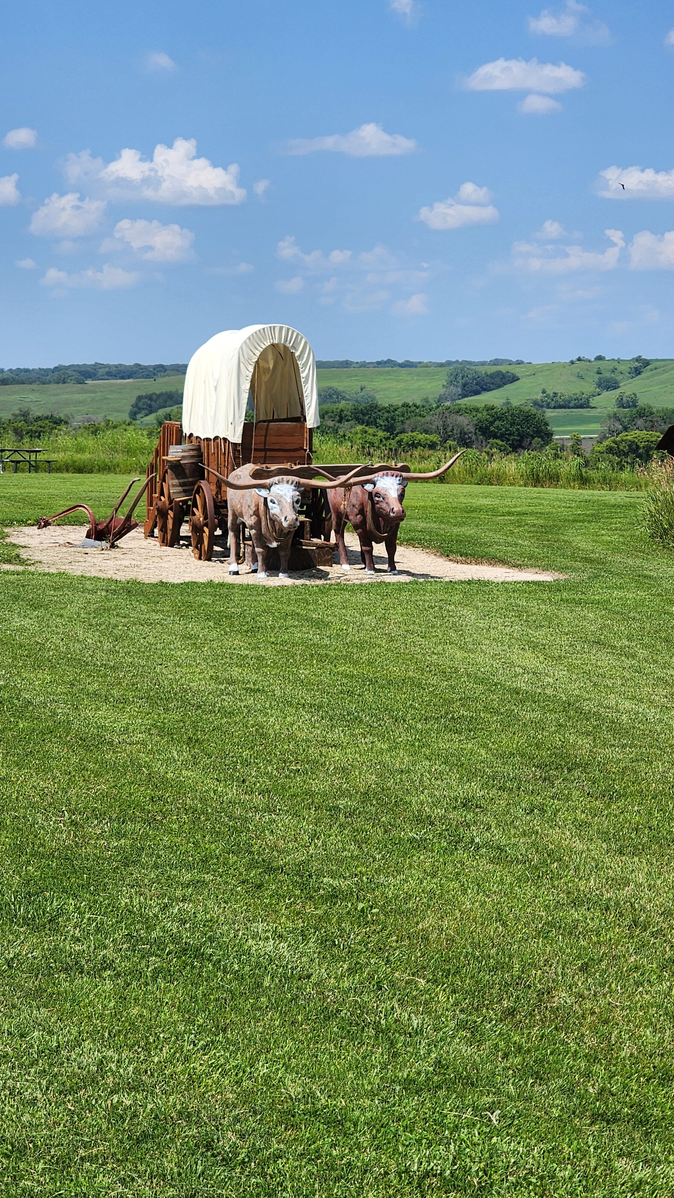 covered wagon