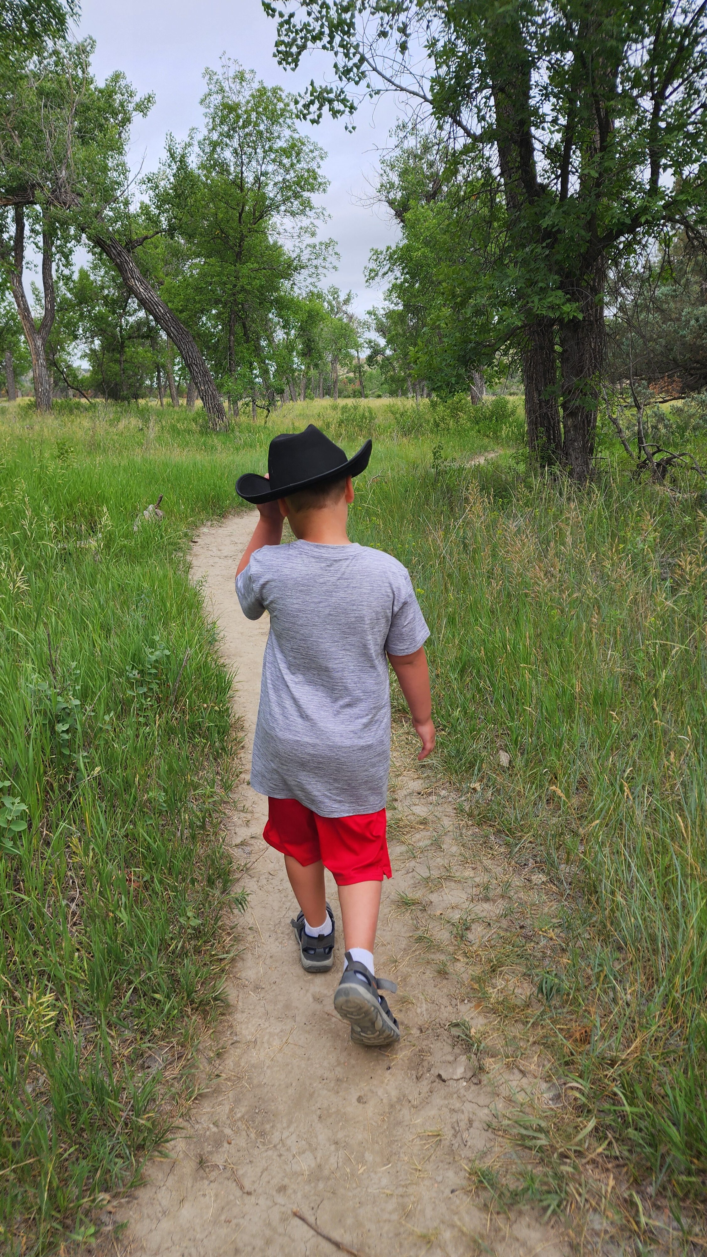 boy hiking in national park