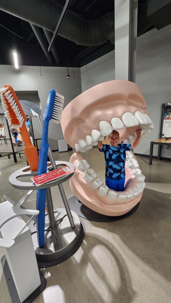 science center teeth display