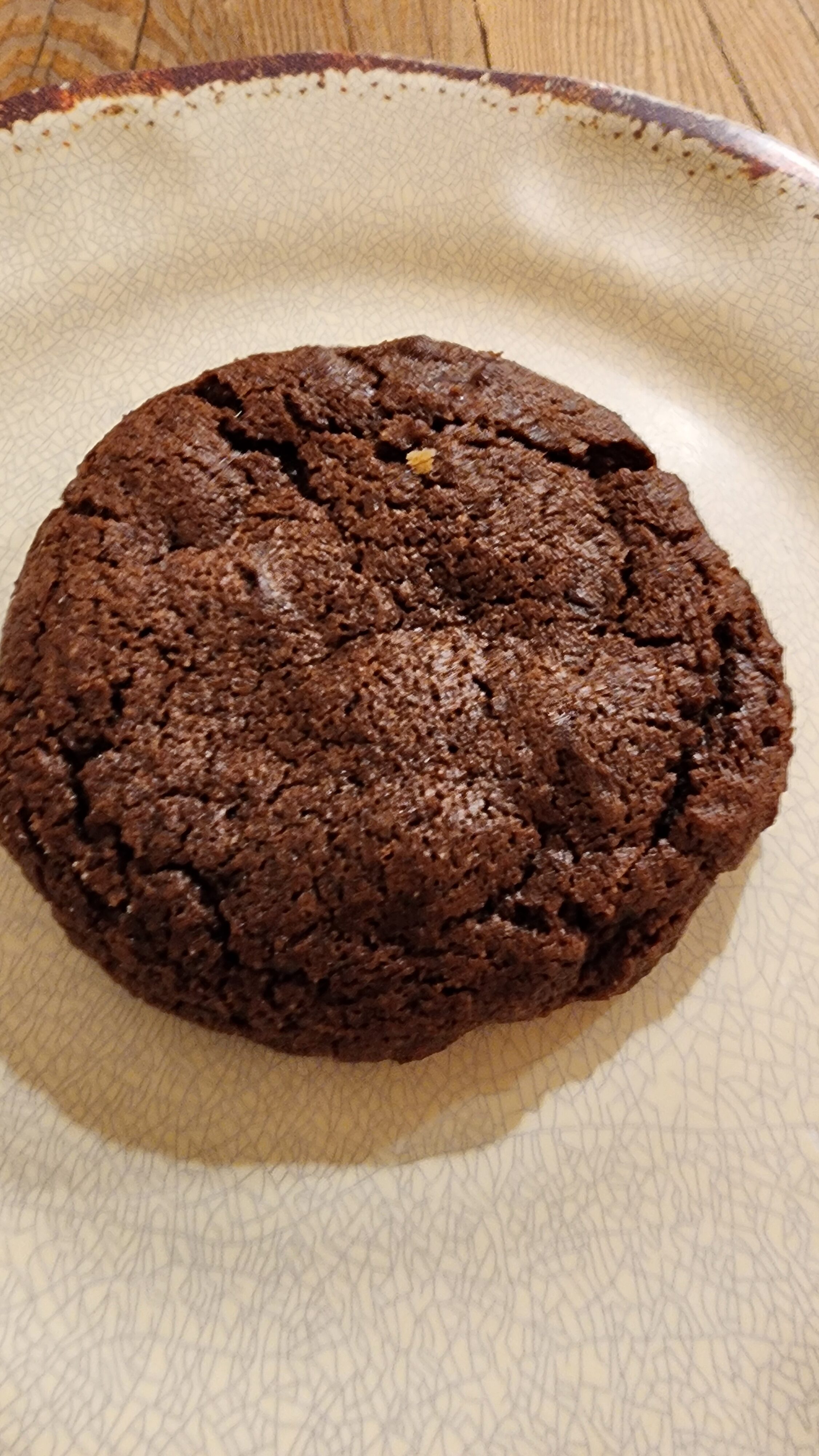 chocolate chocolate chip cookie