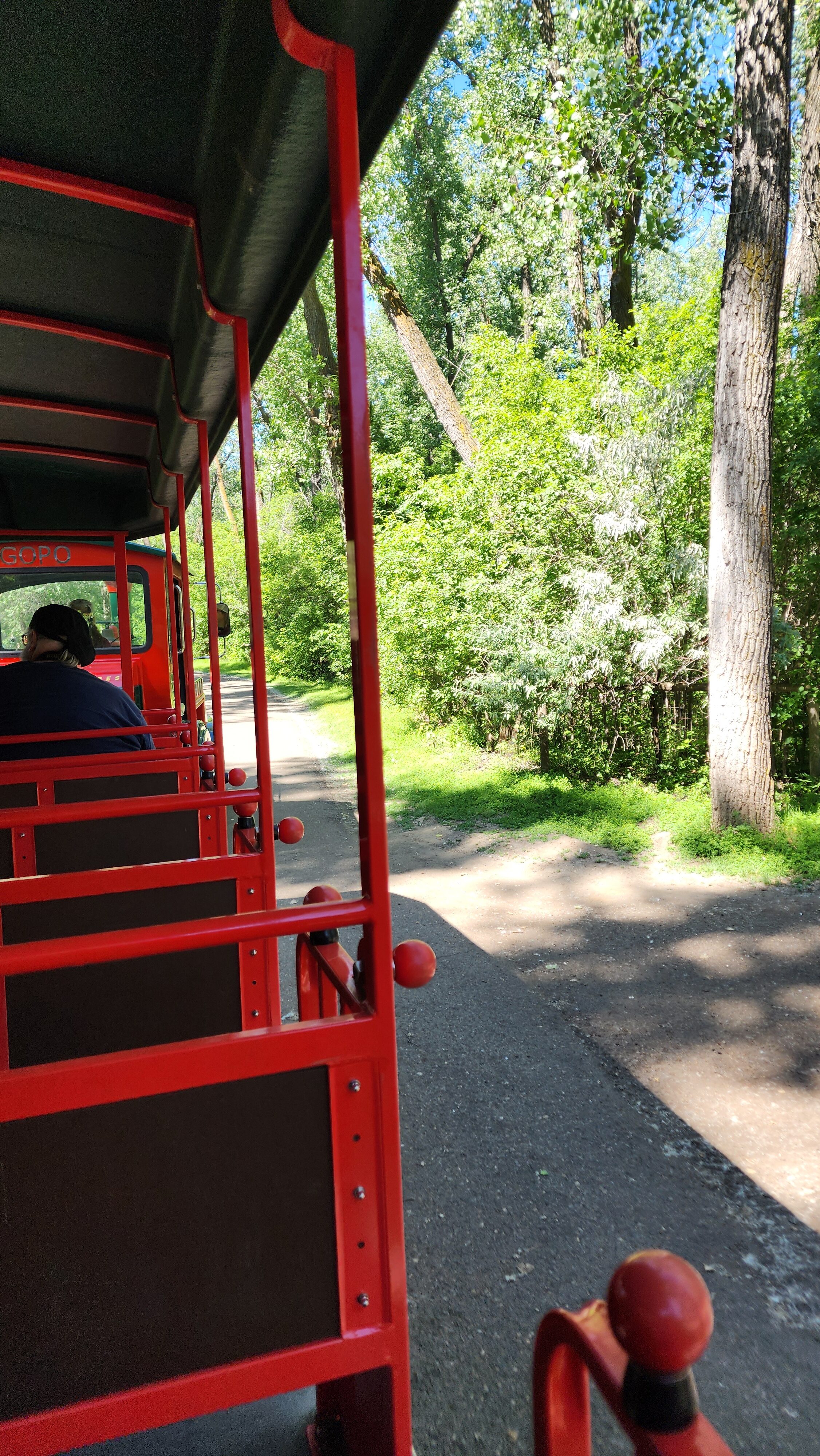 train ride zoo