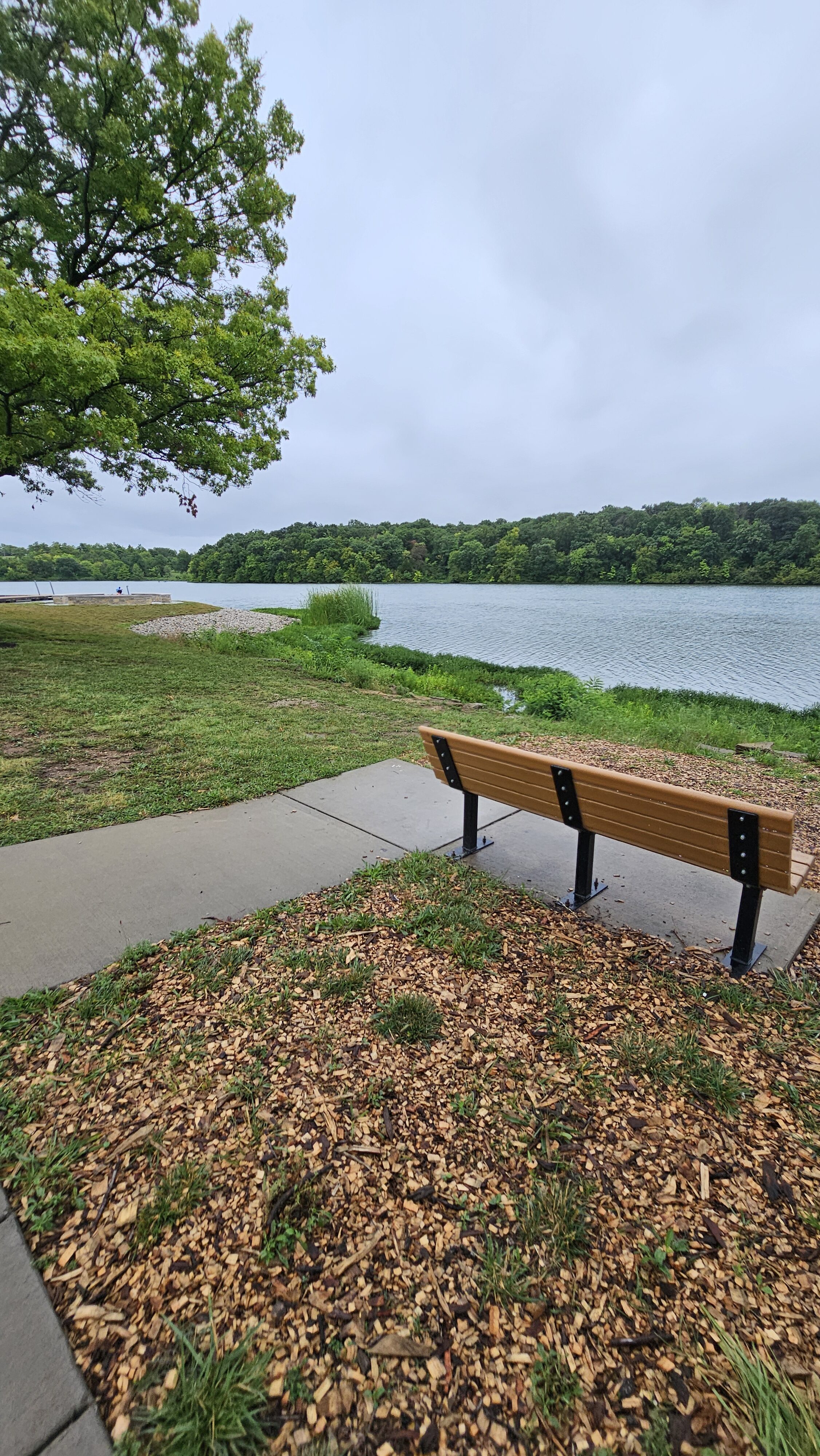 bench by lake