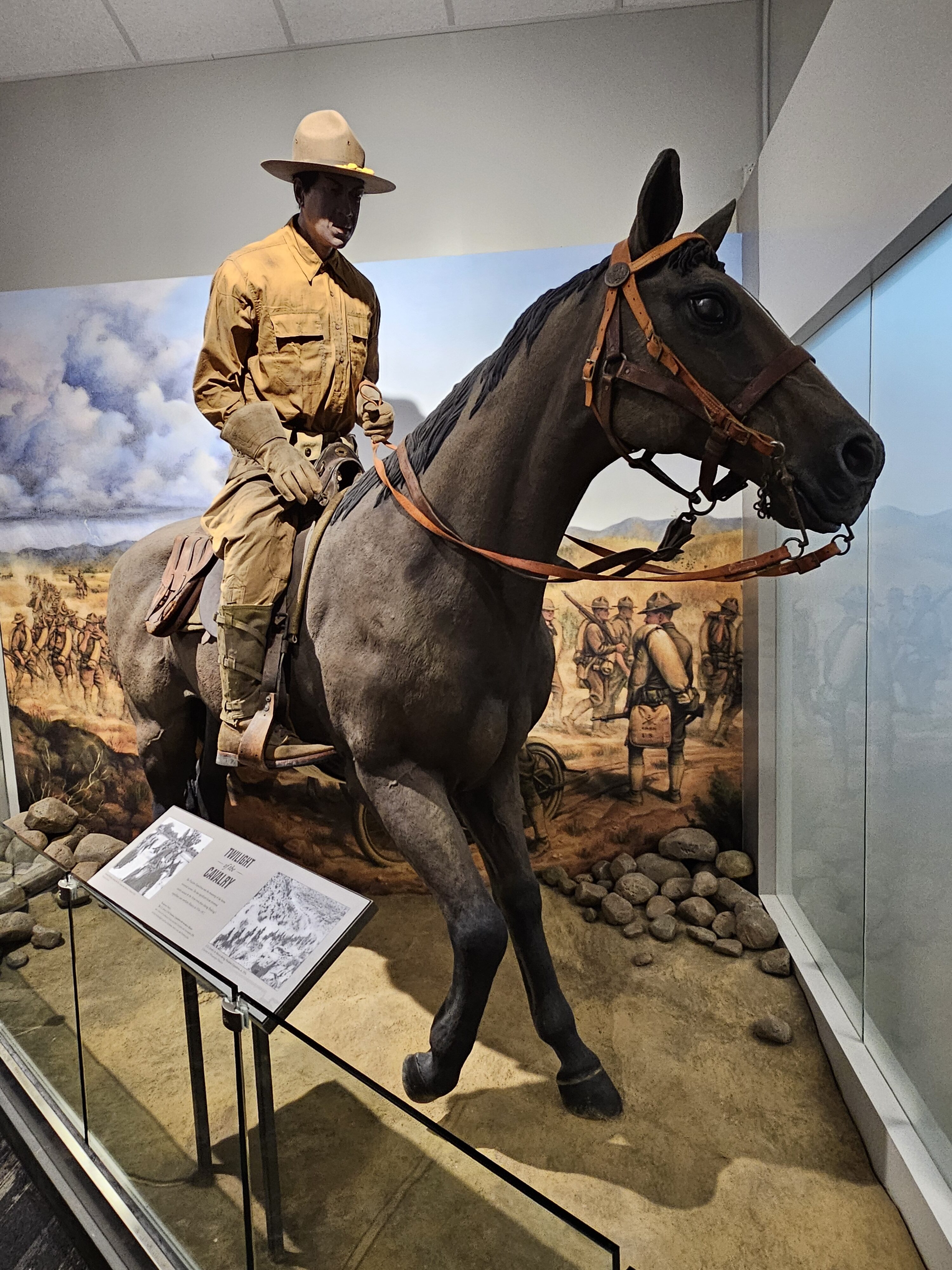 horse in museum