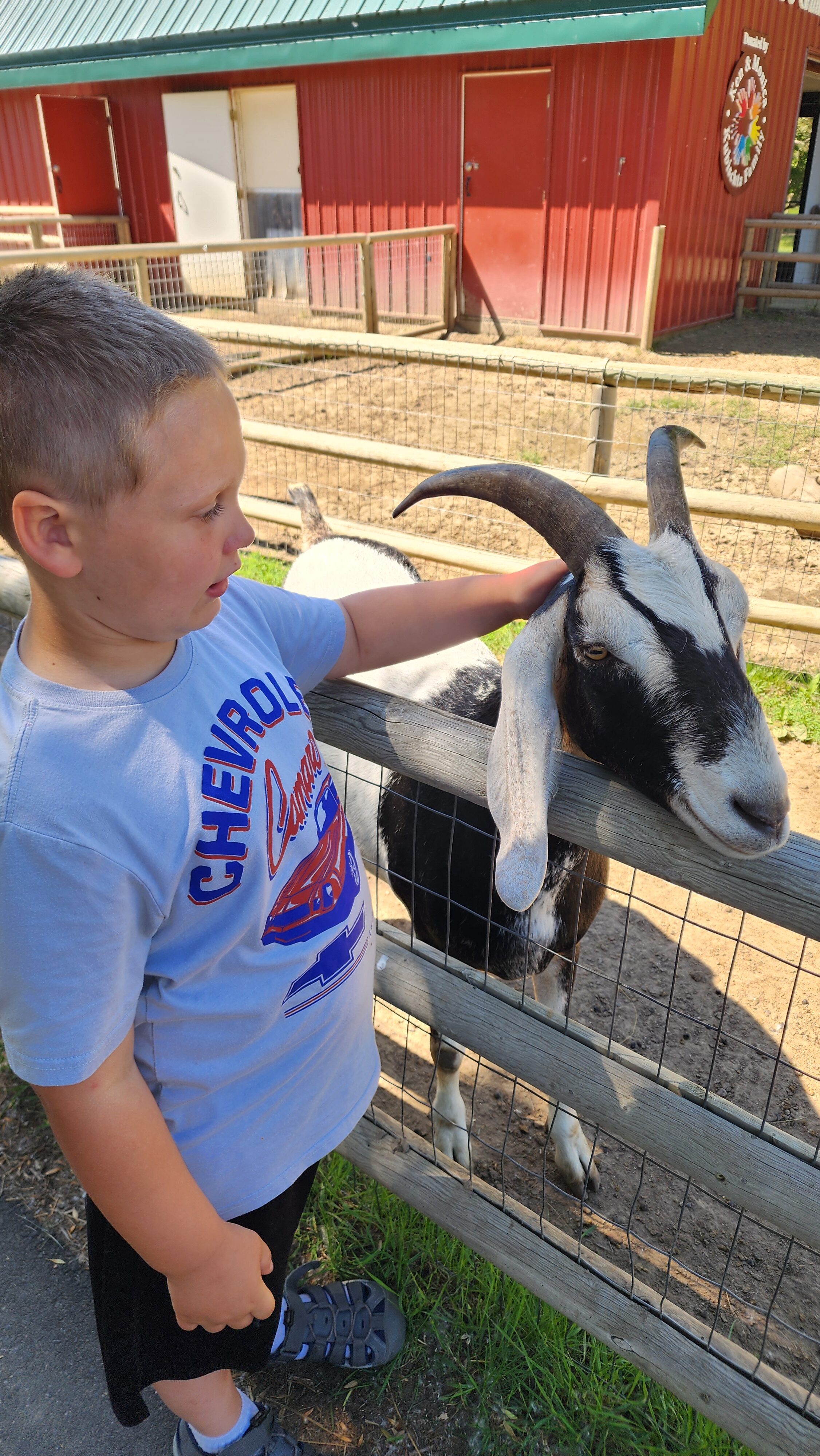 boy with goat