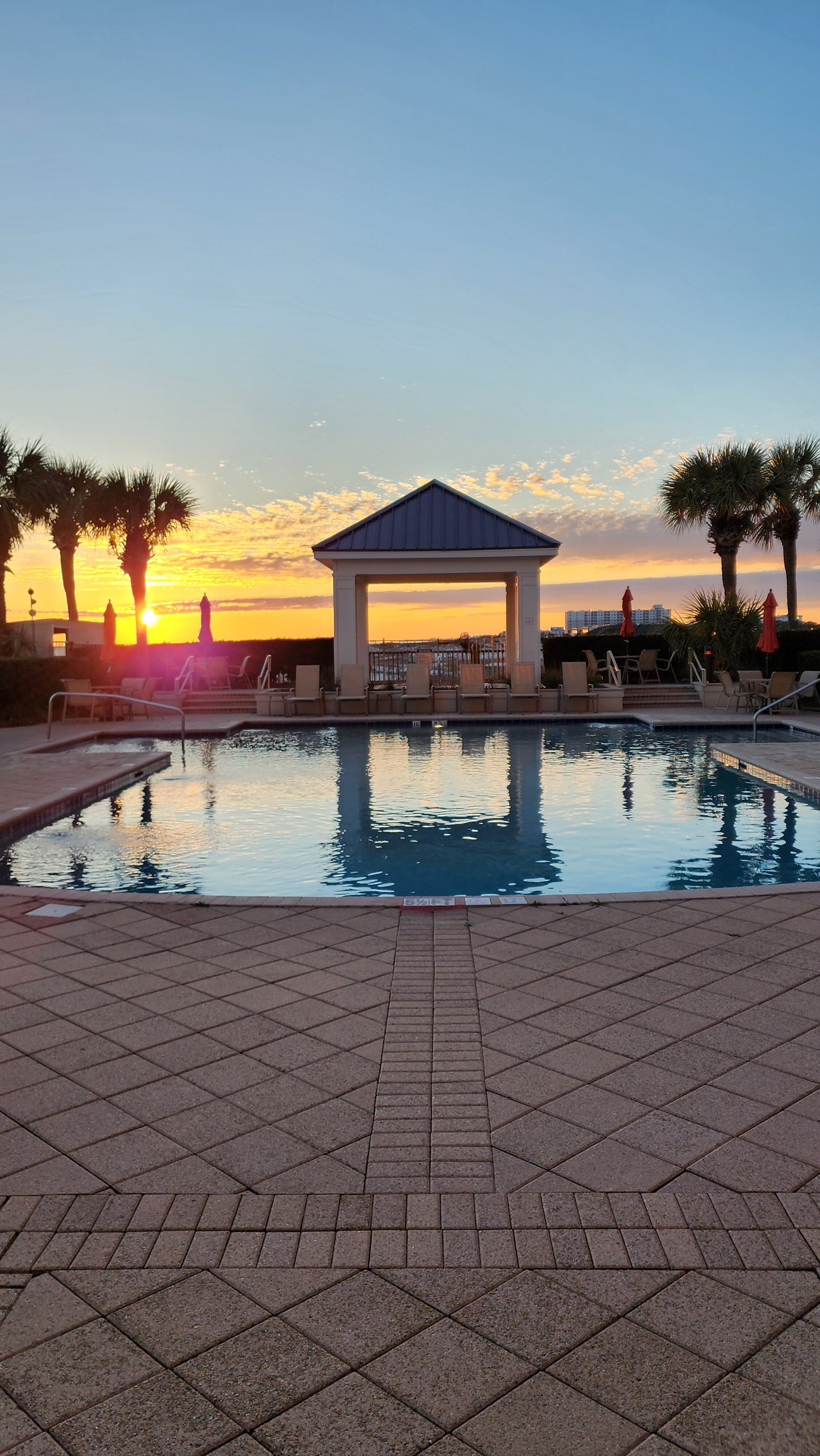 pool with view