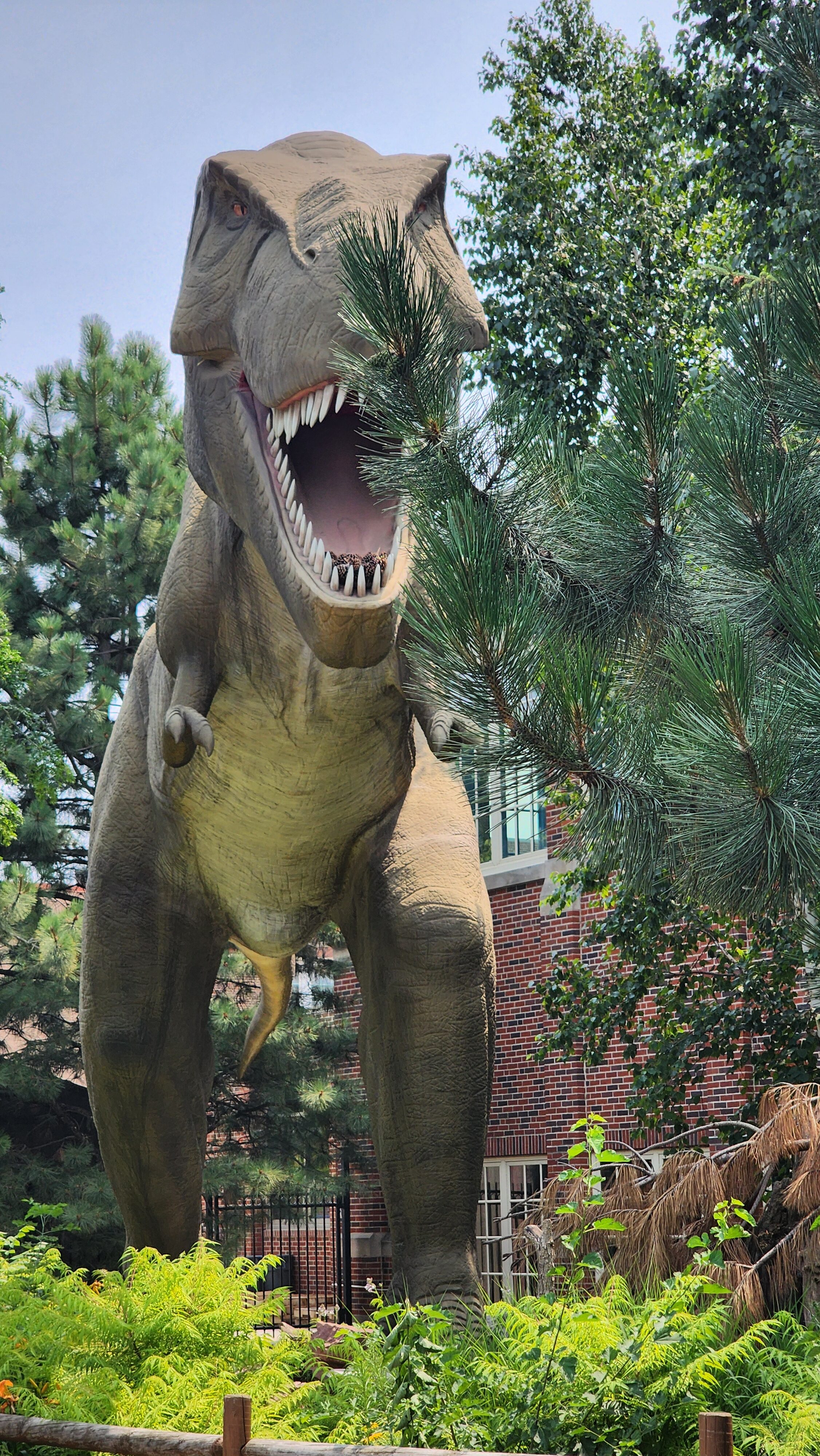 dinosaur at best attraction in brookings