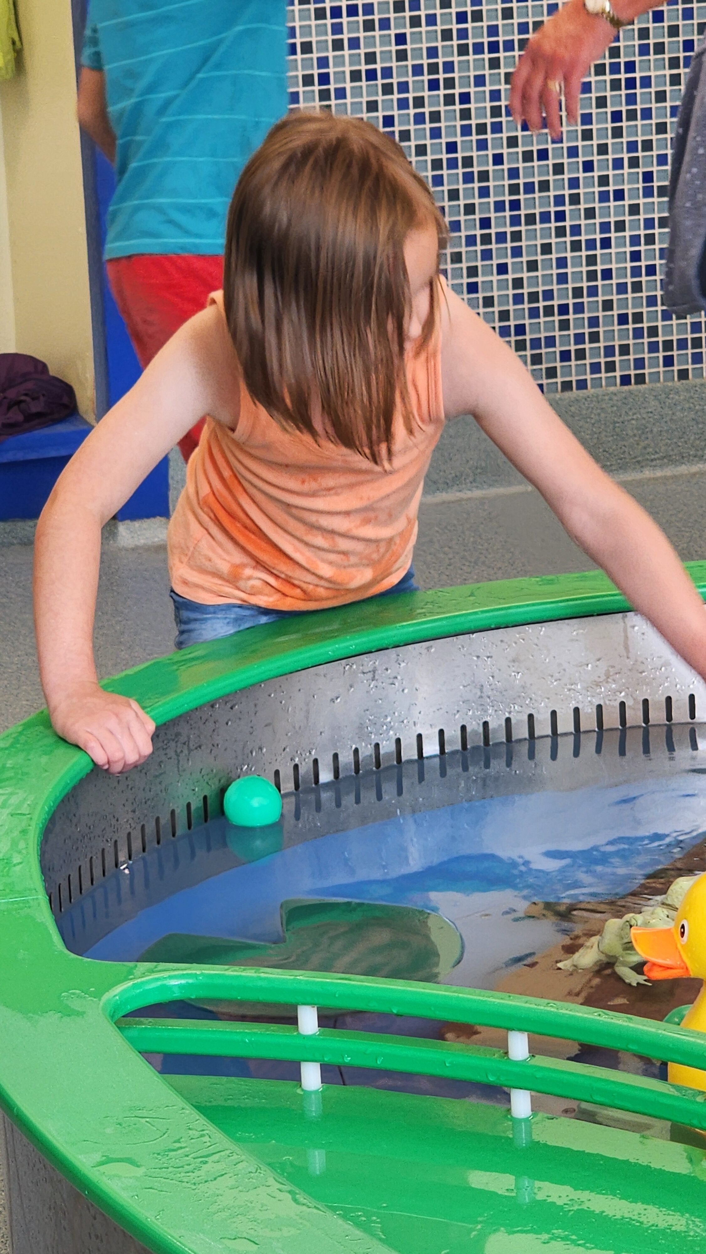 water table at best attraction in brookings