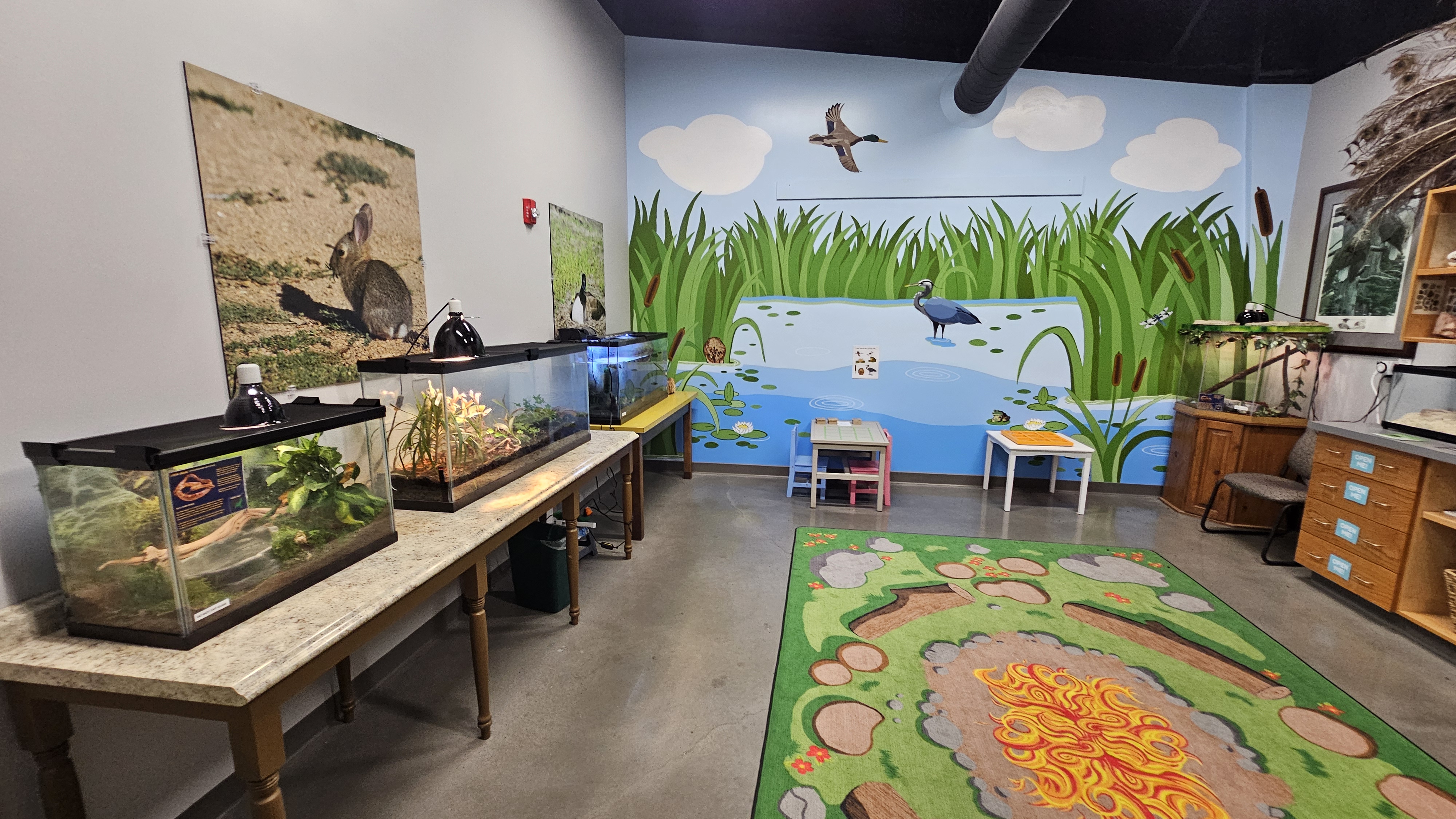 discovery center for kids