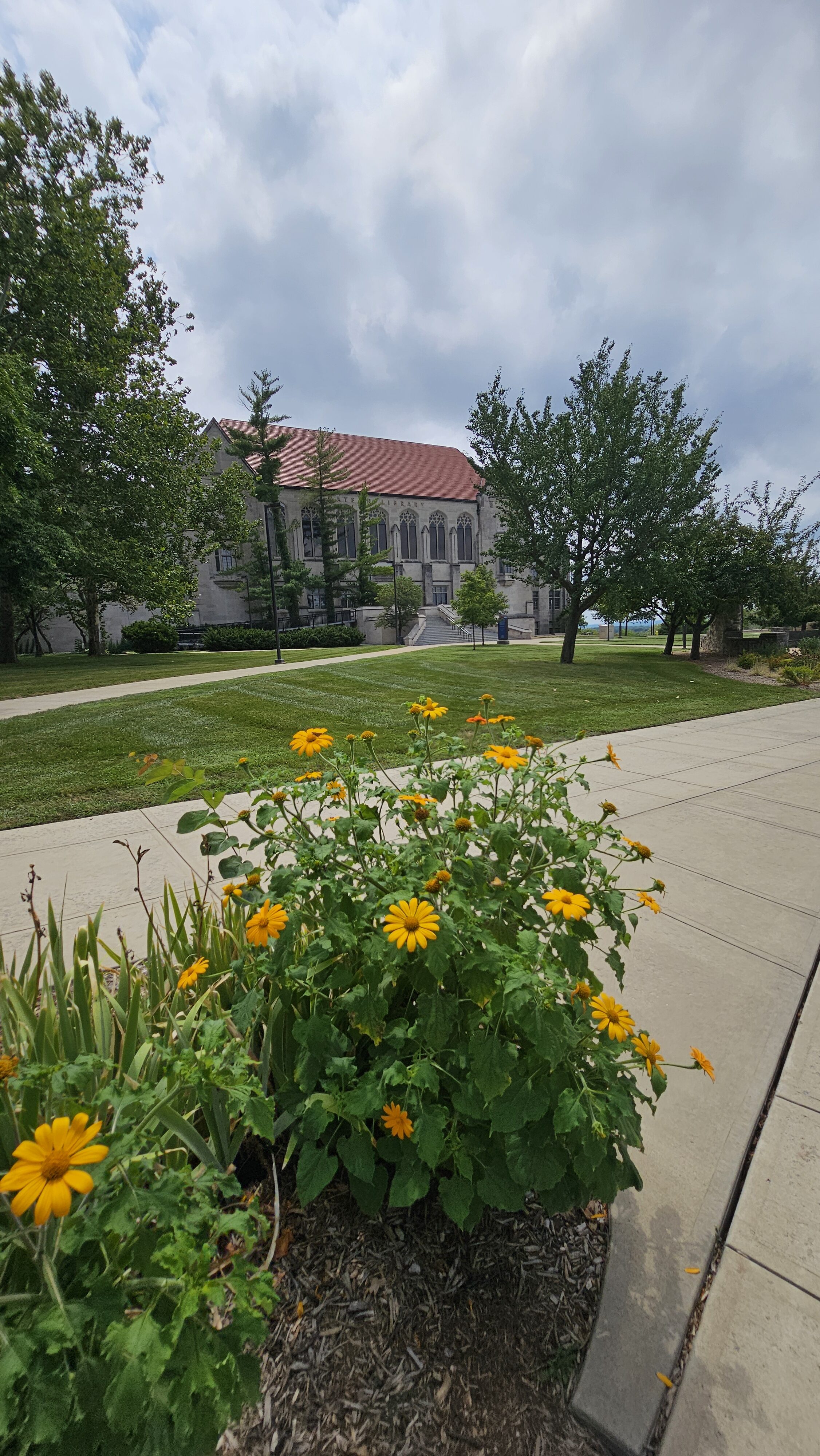 building Kansas University