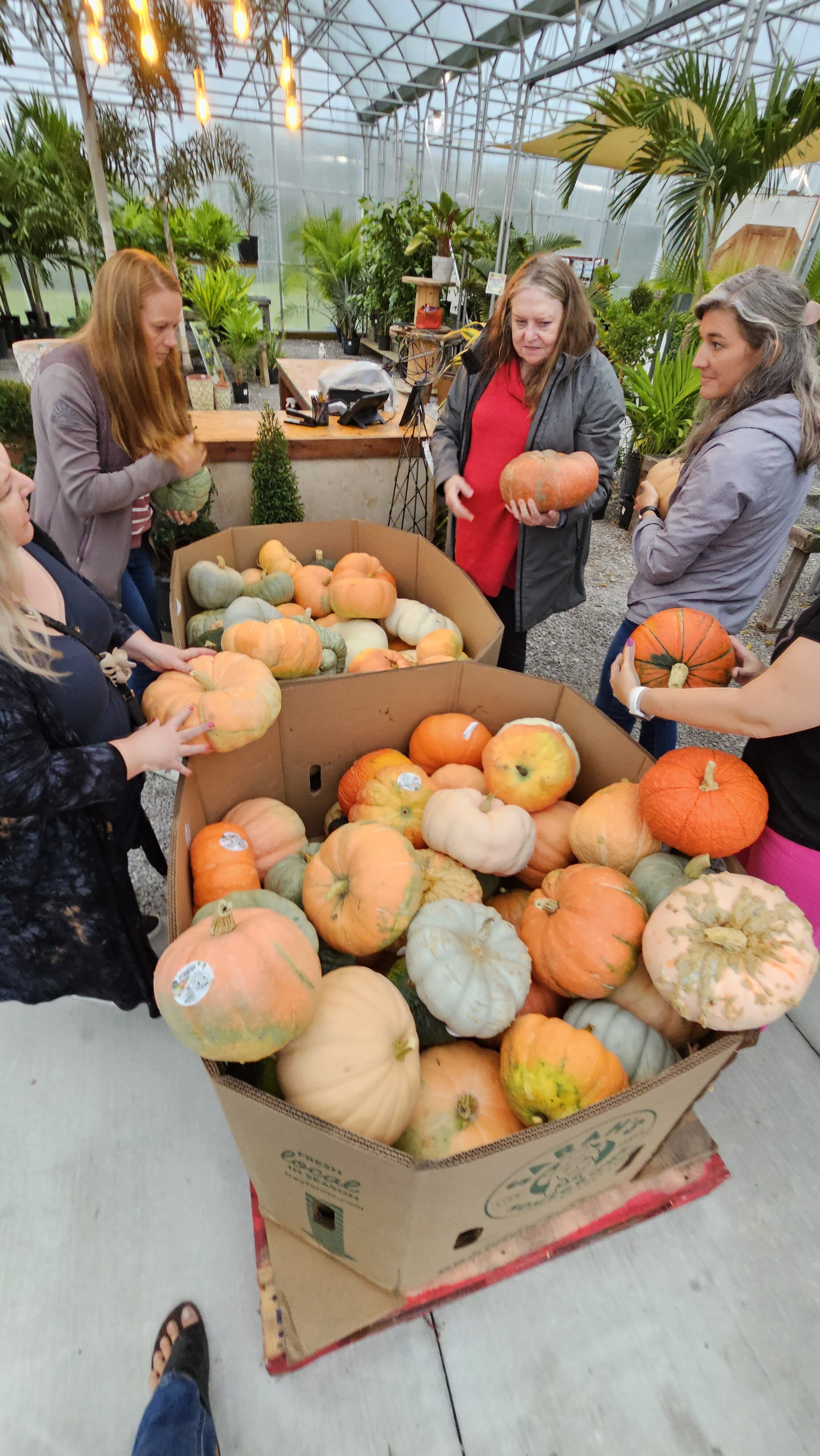 perfect pumpkin dubois county