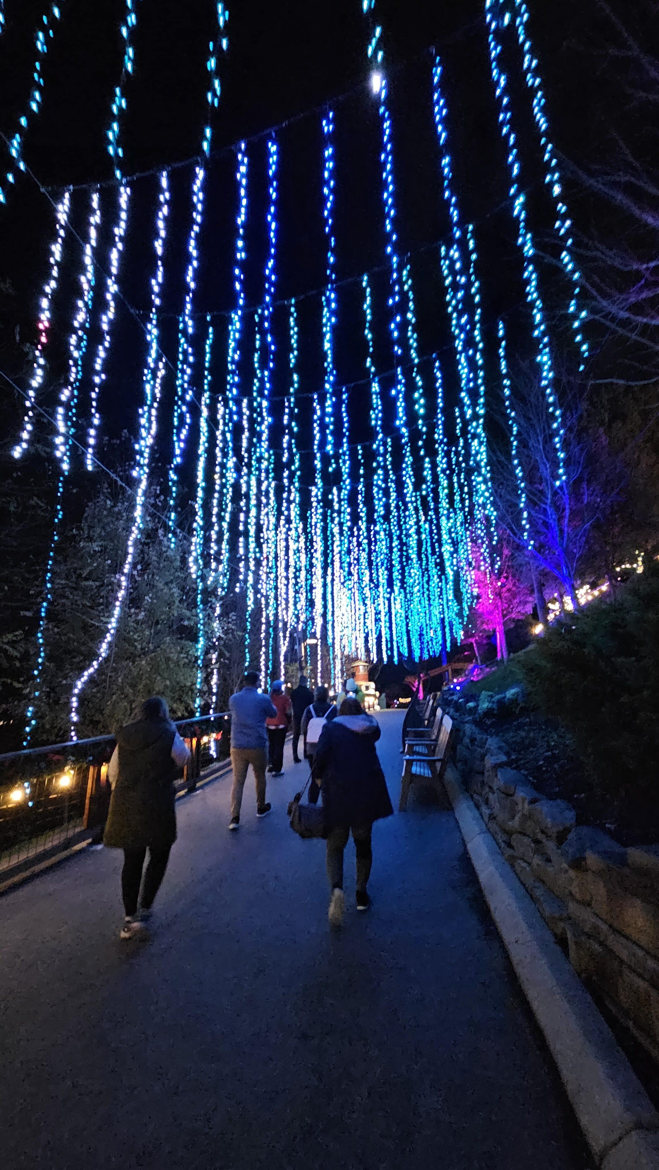 people walking in lights