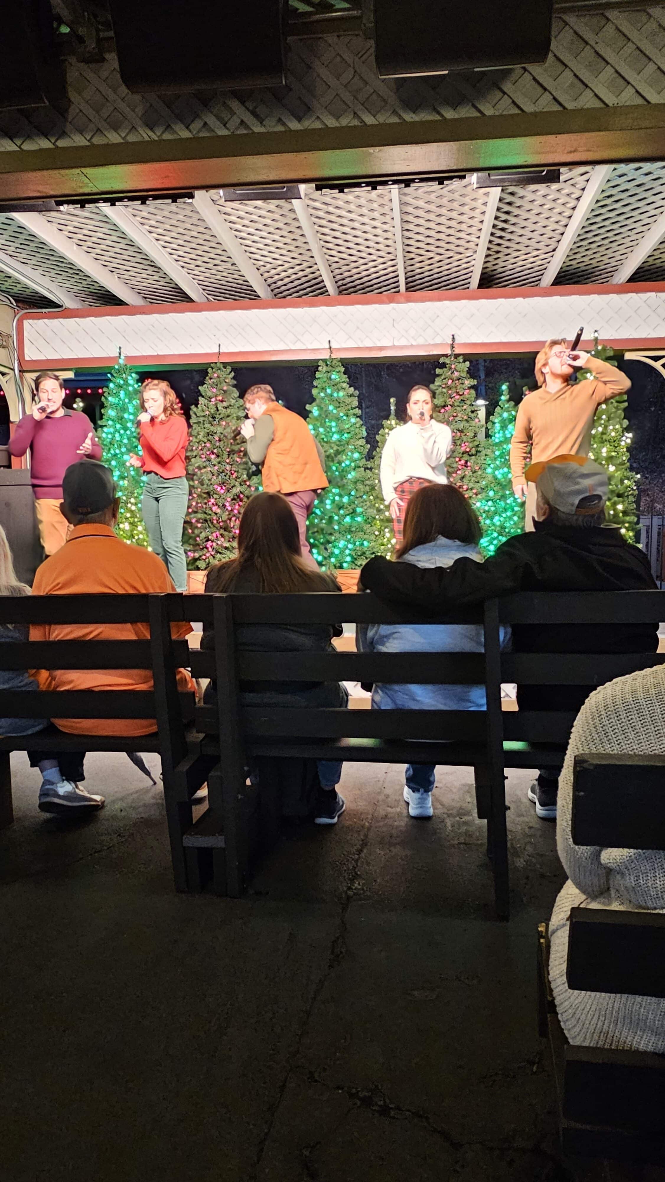 singers at Dollywood