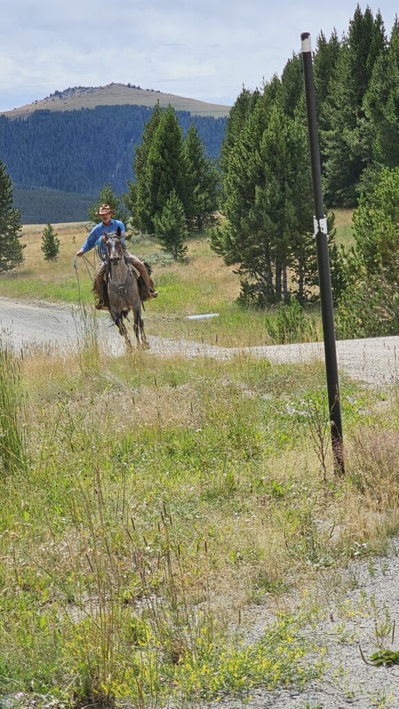 cowboy on horse