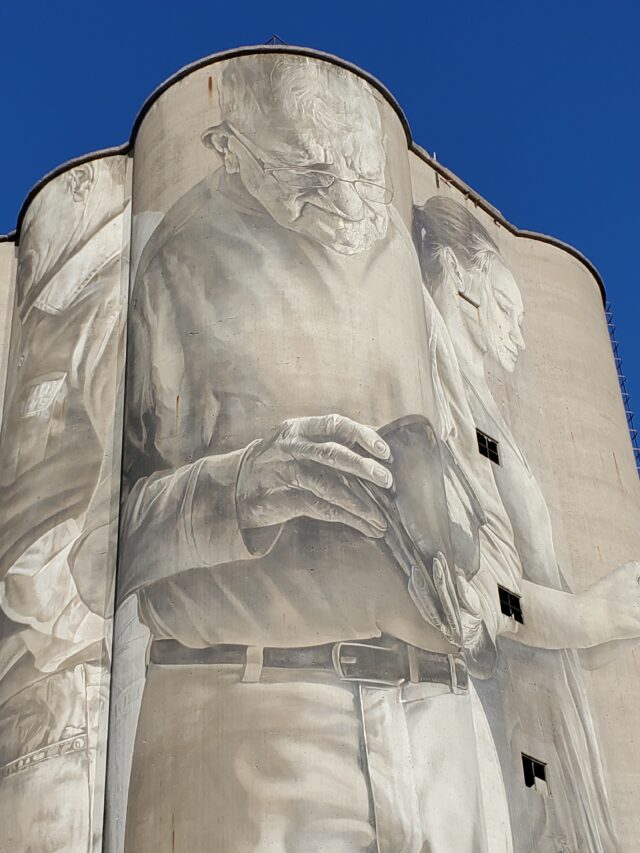 Fort Dodge silo Guido van Helten