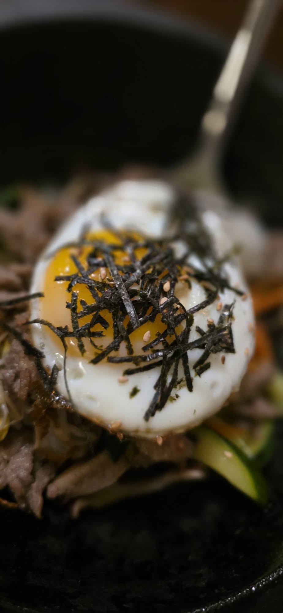 bibimbap gaga and hoo fort dodge