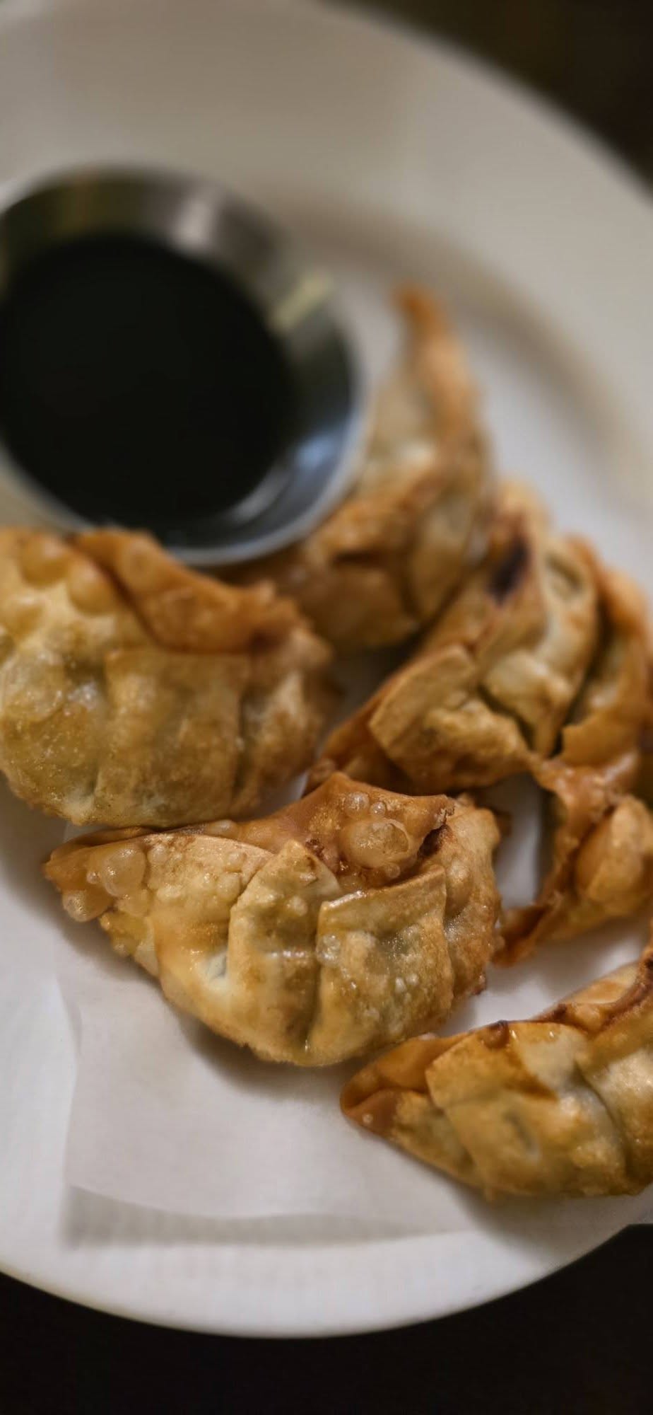 dumplings fort dodge