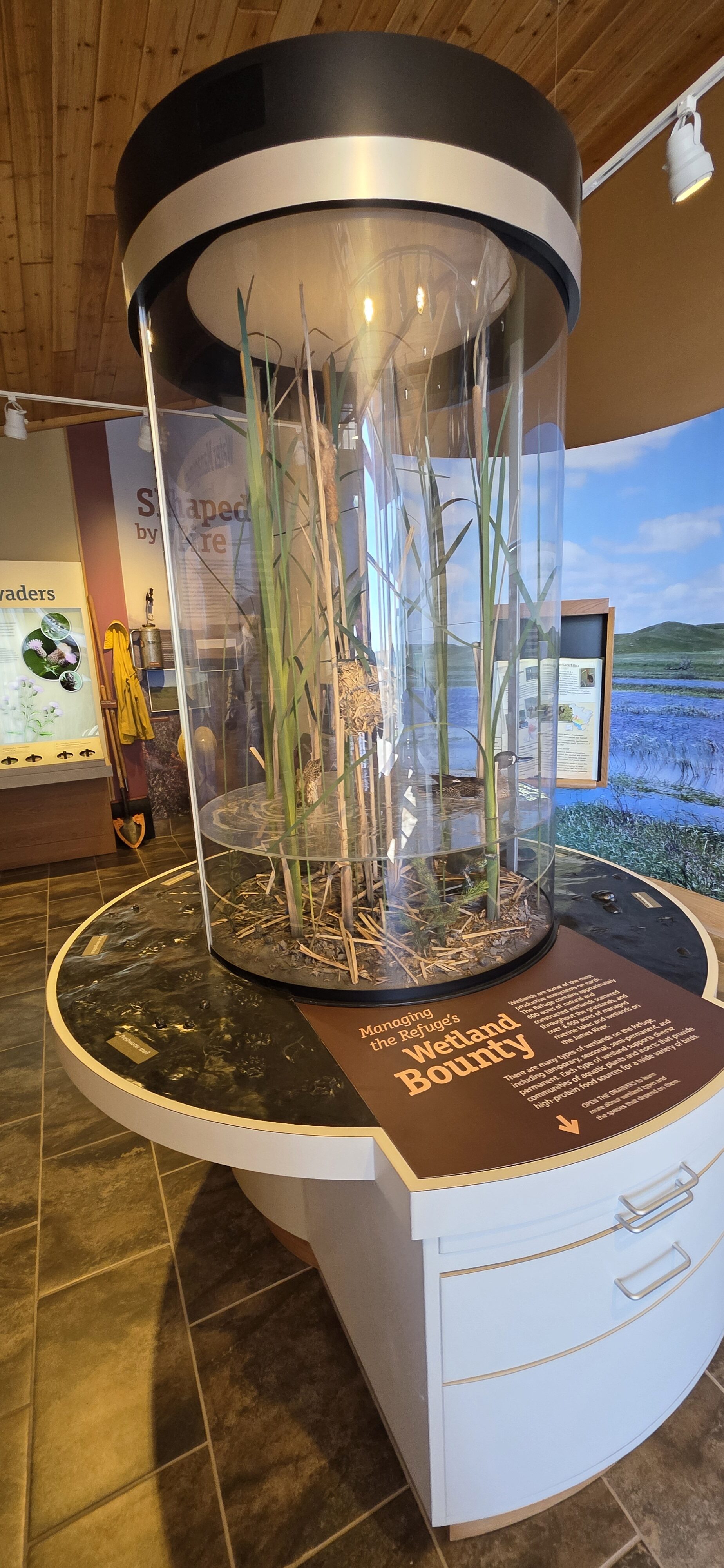 Arrowwood wildlife refuge amazing Jamestown, ND