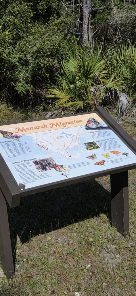 Monarch Migration Sign Pine Beach Trail Gulf Shores, Alabama